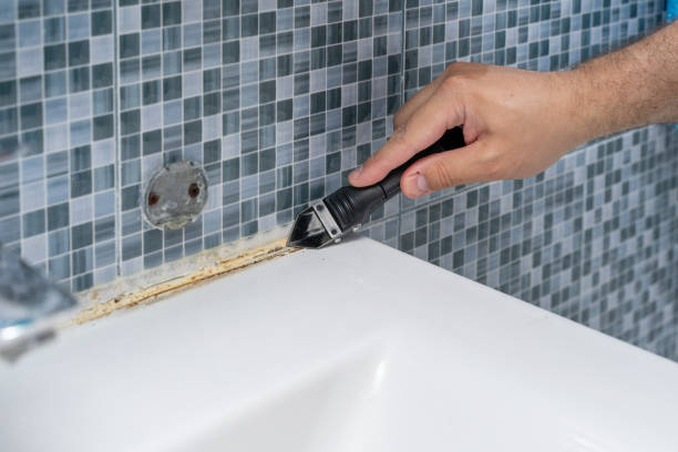 Best Local Mold Removal Service  in Elmore, OH